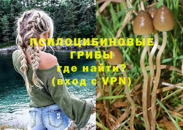 первитин Абинск